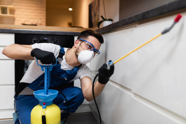 Best Mosquito Control Services  in Walden, TN