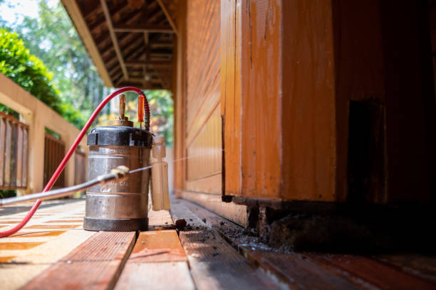 Best Commercial Pest Control Services  in Walden, TN