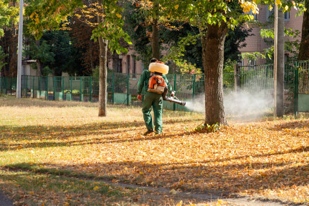 Best Insect Control  in Walden, TN